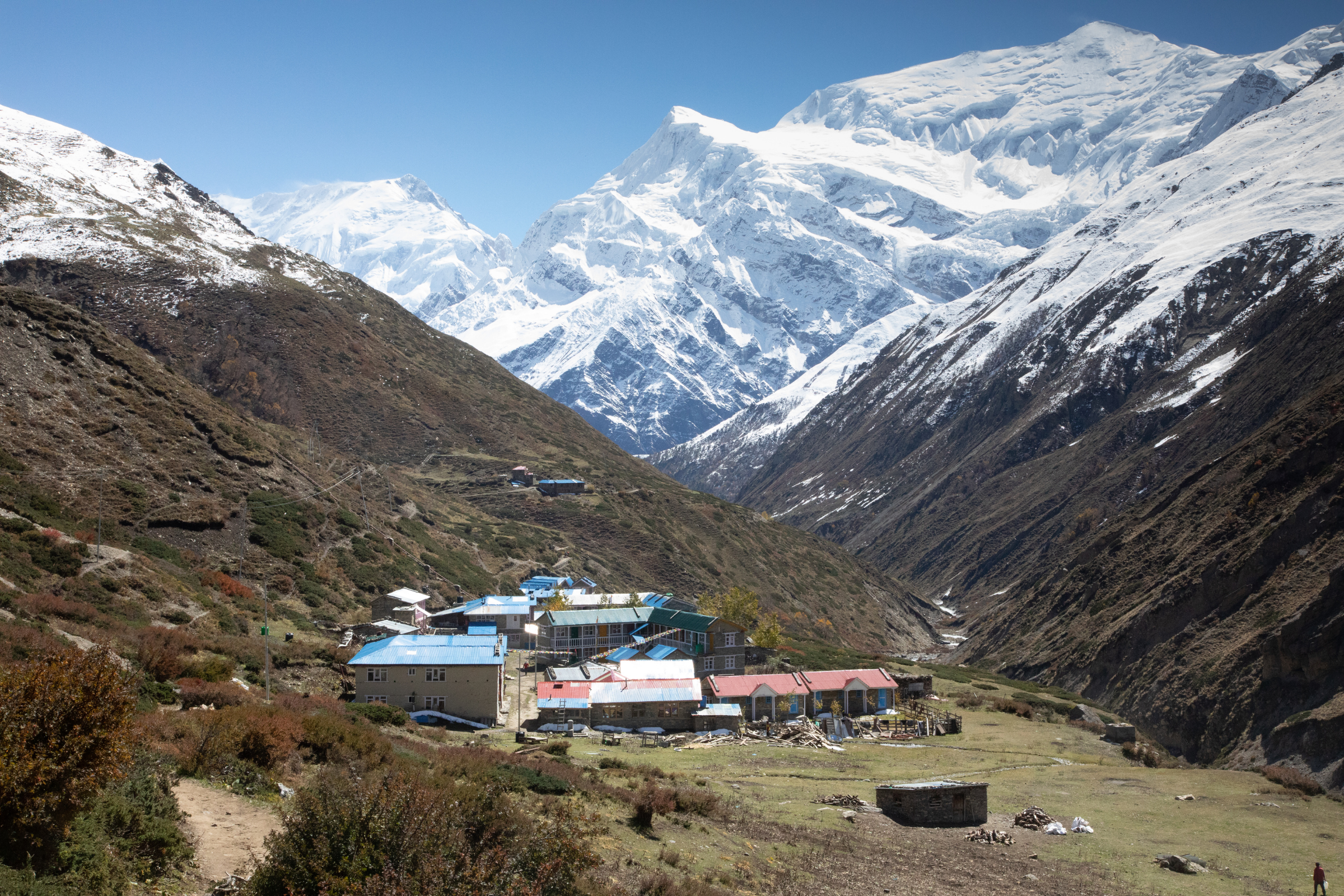 yak kharka (2).webp